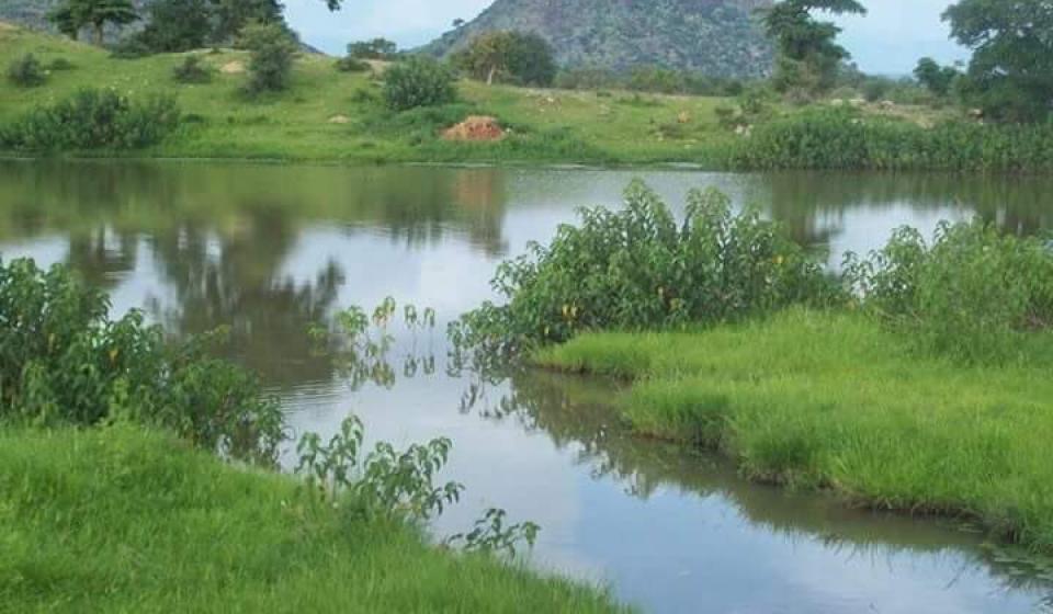 The Republic of Sudan lake with lots of greenery